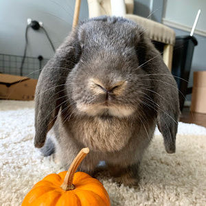 Meet your Posher, Marissa